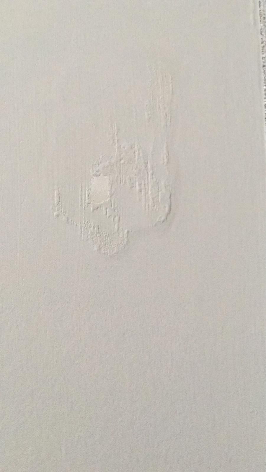 c6463647-d9ab-45c2-aa5b-b931d004c3f5-WhatsApp Image 2026-02-10 at 17.42.13.jpeg