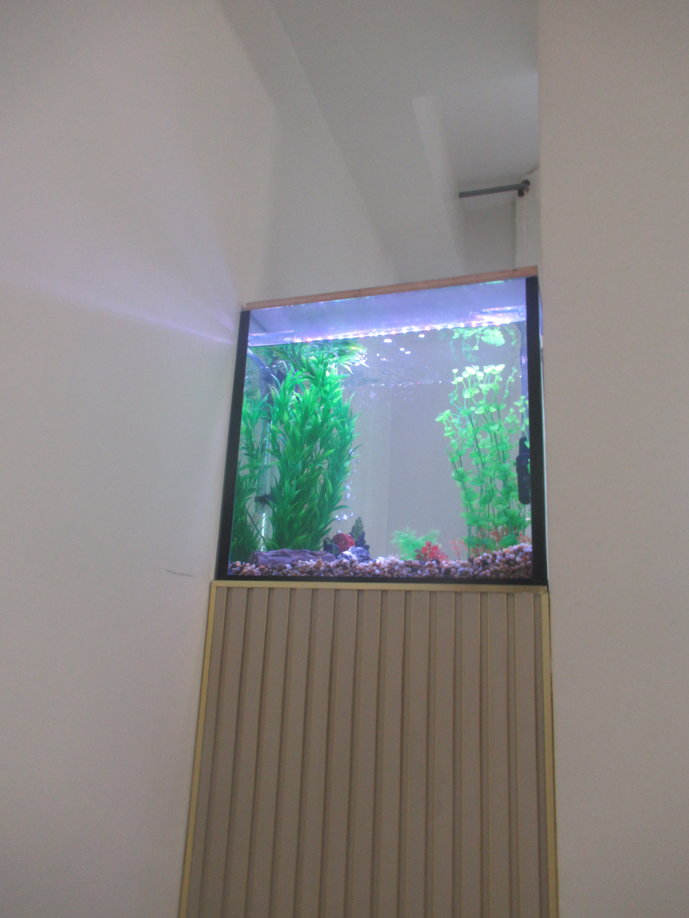 צילום מסך 2026-02-25 164508.png