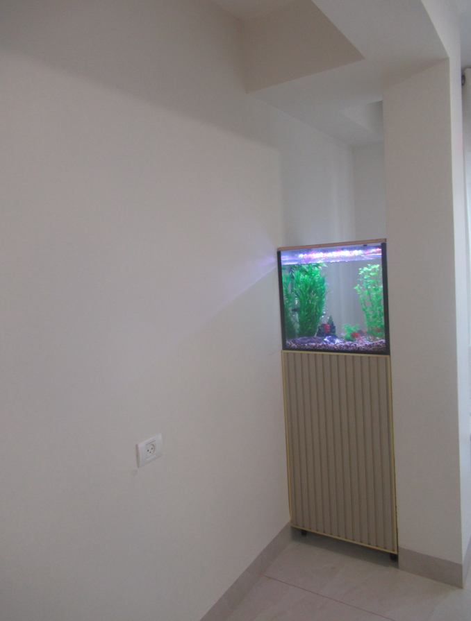 צילום מסך 2026-02-25 164408.png