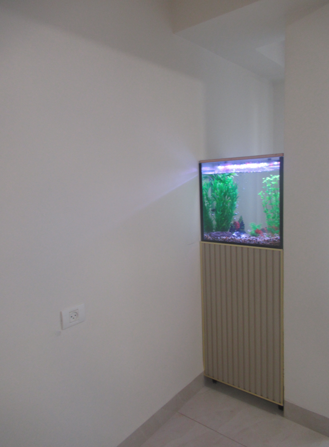 צילום מסך 2026-02-25 164415.png