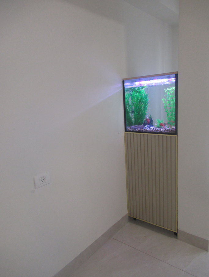 צילום מסך 2026-02-25 164420.png