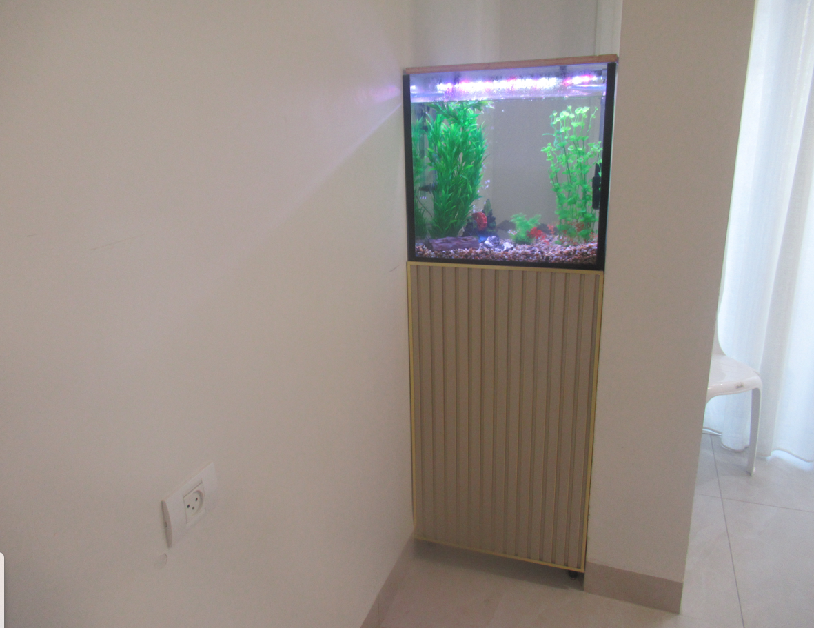 צילום מסך 2026-02-25 164428.png