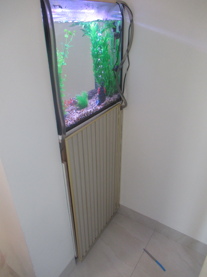 צילום מסך 2026-02-25 164437.png