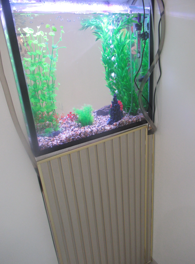 צילום מסך 2026-02-25 164453.png