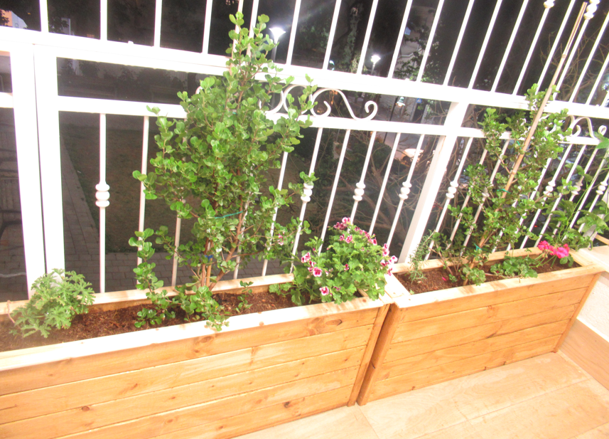 צילום מסך 2026-02-26 213230.png