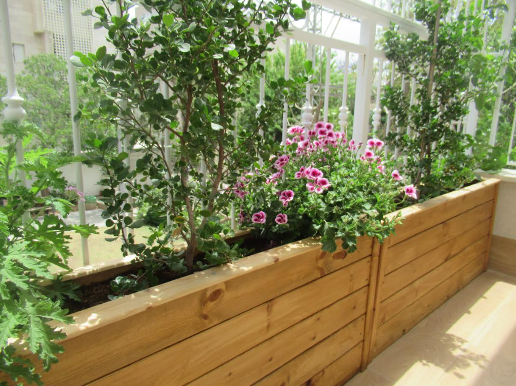 צילום מסך 2026-02-26 212028.png