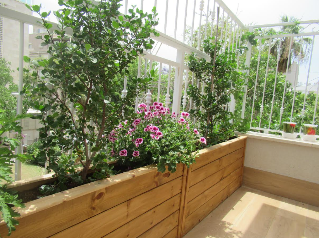 צילום מסך 2026-02-26 212036.png