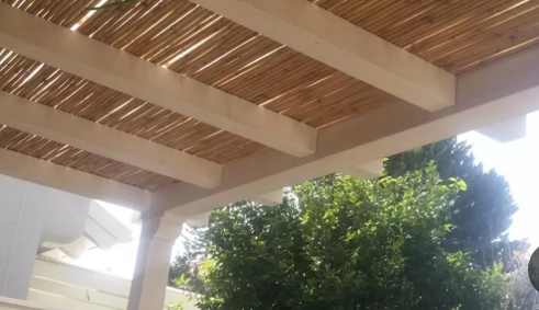 צילום מסך 2026-03-16 183004.png